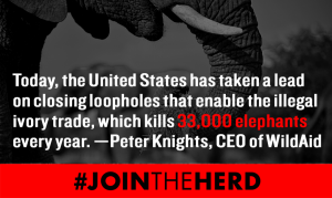 jointheherd
