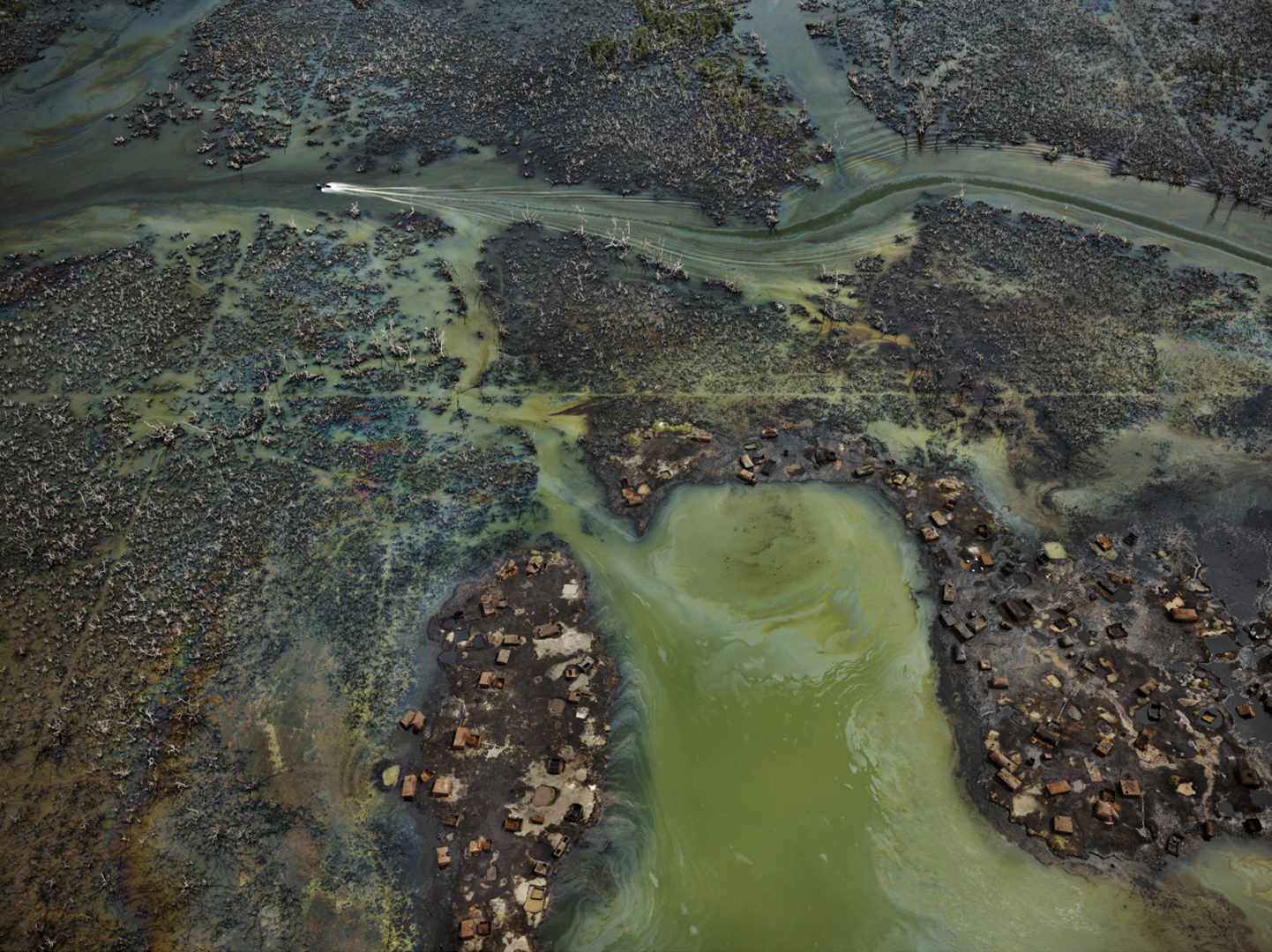 The Anthropocene Project Home