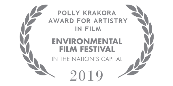 Environmental Film Festival 2019 logo (Polly Krakora Award For Artistry In Film)