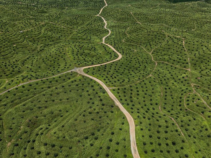 Edward Burtynsky's 'Anthropocene' photos capture the effect of the